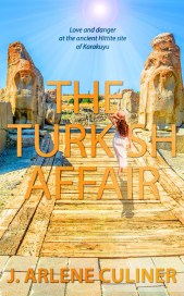 Culiner-TurkishAffair4
